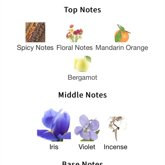 Naomi Goodsir Iris Cendre - Picture 3 of 4